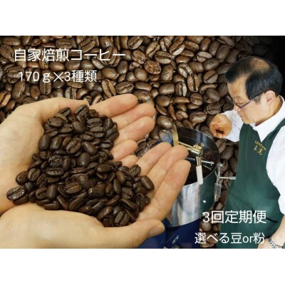 【定期便3回】米国スペシャリティー認定豆170g×3袋を毎月お届け!【3_6-003】
