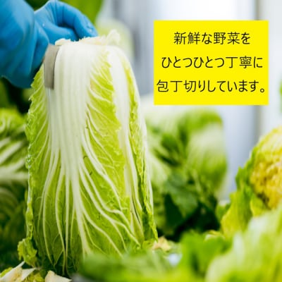 食べきり漬物8品セット