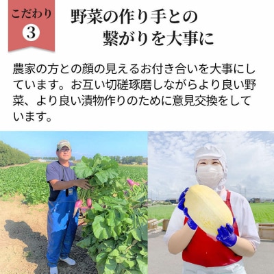 食べきり漬物8品セット