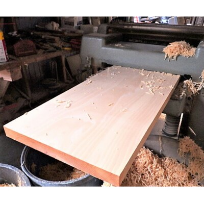 銀杏のまな板(クエ、マグロ用)【20-003】