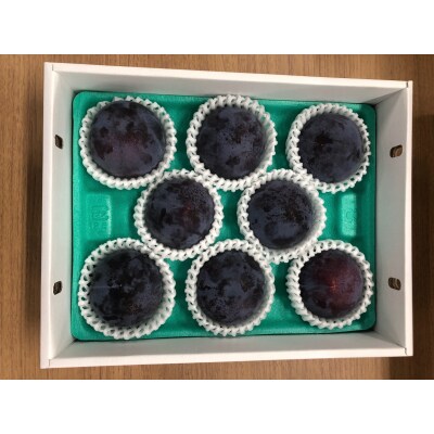 いずもプラム【1-094】