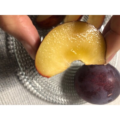 いずもプラム【1-094】