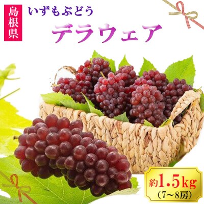 【2026年6月以降発送】いずもぶどうデラウェア 約1.5kg 7-8房