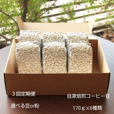 【定期便3回】米国スペシャリティー認定豆170g×6袋を毎月お届け!