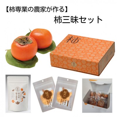 【柿専業の農家が作る】柿三昧セット【1_2-060】
