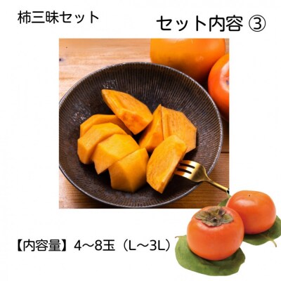 【柿専業の農家が作る】柿三昧セット【1_2-060】