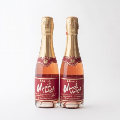 日本酒・スパークリングワイン6本セット【2_2-007】