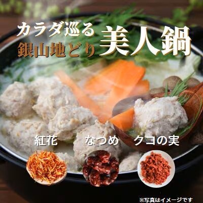 カラダ巡る　銀山地どりの『美人鍋』4～5人前【2_3-003】