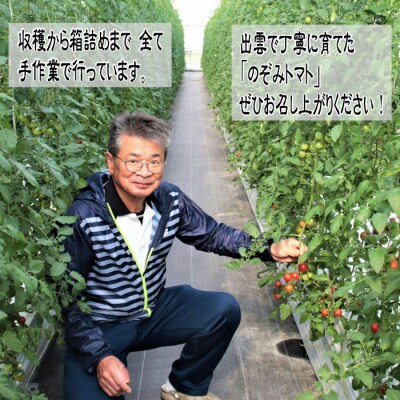 高糖度フルーツトマト【出雲の希トマト】糖度10以上　クール便配達