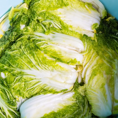 【2026年4月~9月お届け】季節限定 春夏おすすめ漬物7品セット