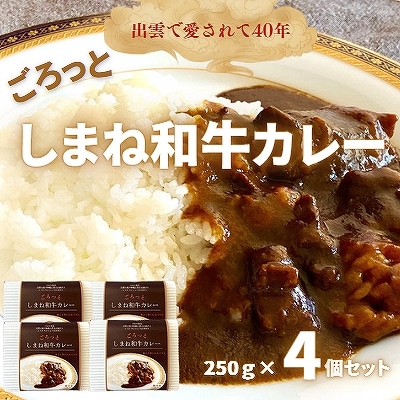ごろっとしまね和牛カレー　4食セット【2-103】