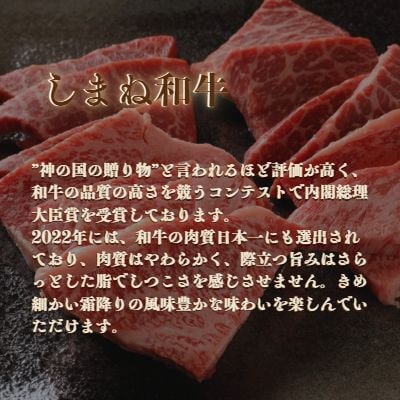 ごろっとしまね和牛カレー　4食セット【2-103】
