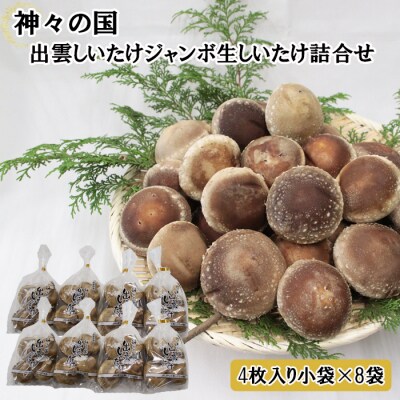 神々の国　出雲しいたけジャンボ生しいたけ詰合せ【1-293】