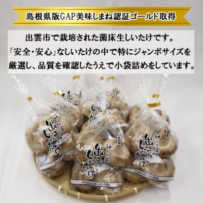 神々の国　出雲しいたけジャンボ生しいたけ詰合せ【1-293】