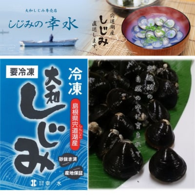 宍道湖産冷凍しじみ特大サイズ(殻幅14㎜～16㎜)200g×10袋【1-294】