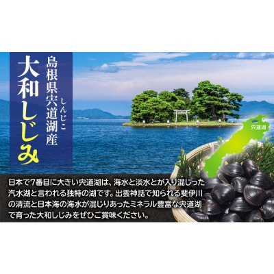 宍道湖産冷凍しじみLサイズ(殻幅14㎜~16㎜)200g×10袋