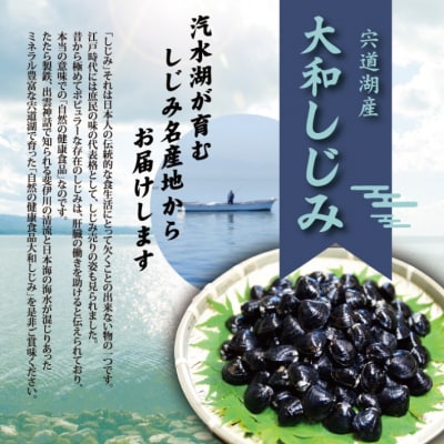 宍道湖産冷凍しじみ特大サイズ(殻幅14㎜～16㎜)200g×10袋【1-294】
