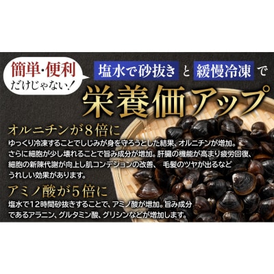 宍道湖産冷凍しじみLサイズ(殻幅14㎜~16㎜)200g×10袋
