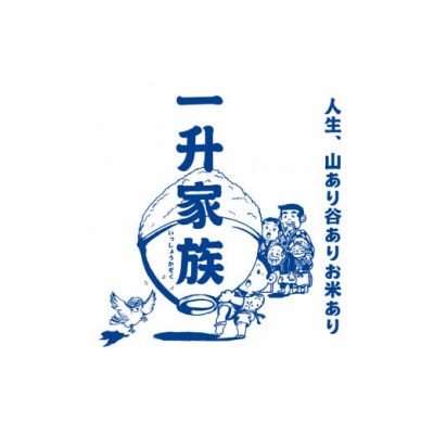 令和8年産  出雲市産きぬむすめ　 5.5㎏入り白米1袋
