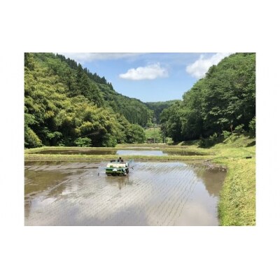 令和8年産  出雲市産きぬむすめ　 5.5㎏入り白米1袋