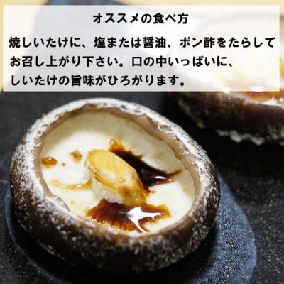 朝採り新鮮!分厚いしいたけ　チビしいたけセット【1_5-041】