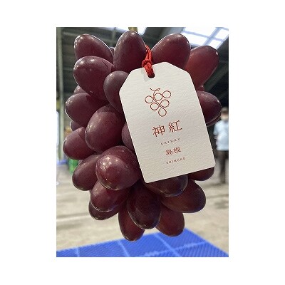 島根県オリジナル品種　神紅1房(500g見当) 甘い 美味しい 新鮮  ぶどう フルーツ 果物 出雲
