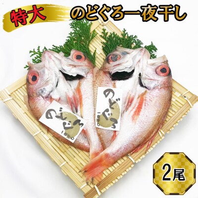 特大 のどぐろ　一夜干し2尾セット【3-090】 | ふるさと納税のお礼品