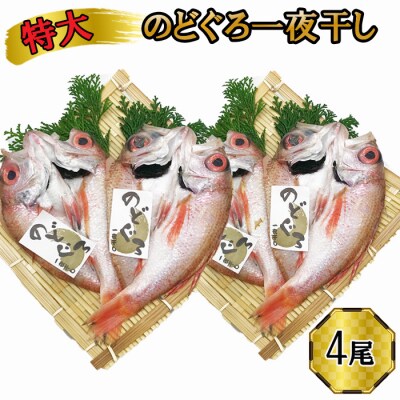 特大 のどぐろ　一夜干し2尾×2箱セット【6-008】