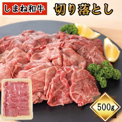 しまね和牛　切り落とし　500g【2_6-008】