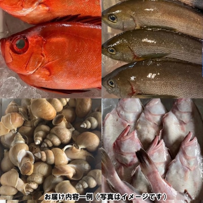 季節のおさかな、おまかせセット!3K相当【2-113】