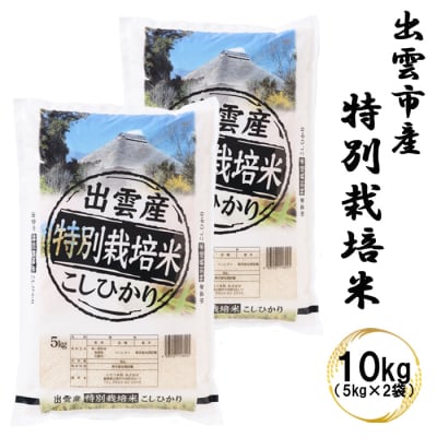 特別栽培米　出雲市産コシヒカリ　10 kg【2_2-014】