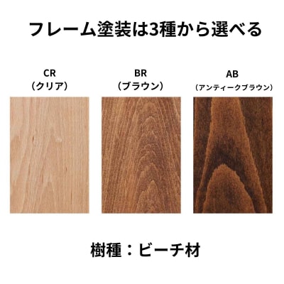 椅子 ダイニングチェア アームチェア 2脚 イス いす 木製椅子 家具 Coccole  C292