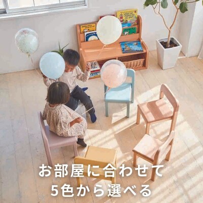 BAOBAB LAND  K309 2脚【16_7-001】