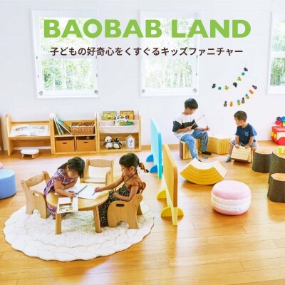 BAOBAB LAND  K216 2脚【26_6-002】
