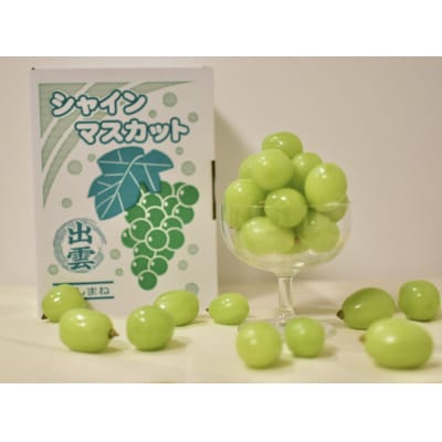 【2026年7月下旬以降発送】いずもぶどう 訳ありシャインマスカット(粒っこ)1kg見当 新鮮 甘い