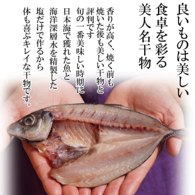 季節の美人干物おまかせセット【1_1-048】
