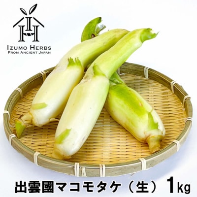 出雲國マコモタケ(生) 1kg 出雲市産【1_1-049】