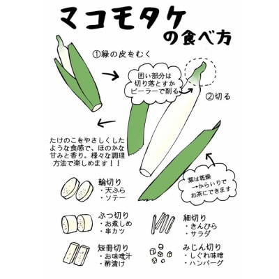 出雲國マコモタケ(生) 1kg 出雲市産【1_1-049】