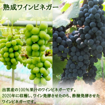 ワインビネガー 2020年 紅白200ml2本セット