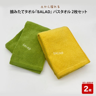 土から採れる 摘みたてタオル 『SALAD』 バスタオル 2枚セット【2_8-002】