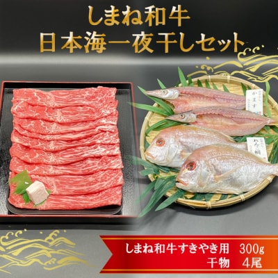 しまね和牛肉・日本海一夜干しセット【1_7-013】
