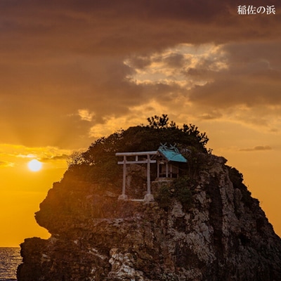 神々の国で結ぶオリジナルしめ飾りとご縁の旅出雲　ツインリーブスホテル出雲宿泊券(2名一室　1泊2食付