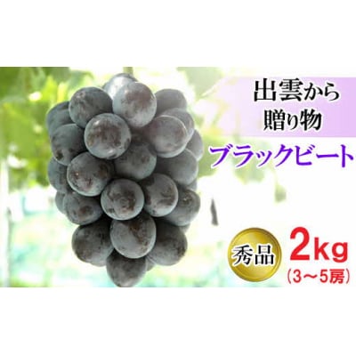 [農家直送]厳選ブラックビート2kg箱(3～5房)[持田農園]【1_4-037】