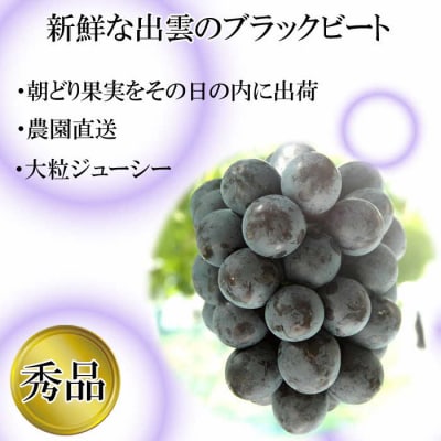 【2026年8月中旬以降発送】[農家直送]厳選ブラックビート2kg箱(3～5房)[持田農園]