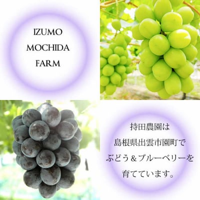 [農家直送]厳選ブラックビート2kg箱(3～5房)[持田農園]【1_4-037】