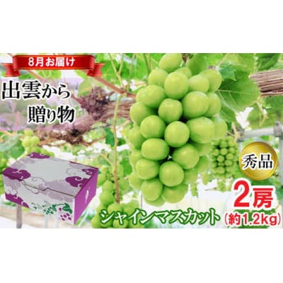 【2026年8月発送】[農家直送]厳選シャインマスカット1.2kg箱(8月出荷)[持田農園]