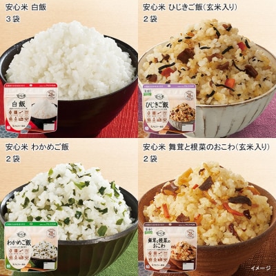 非常食 3日分【安心米9食セット】防災 備蓄 長期保存 アルファ化米/食物アレルギー対応/A4サイズ