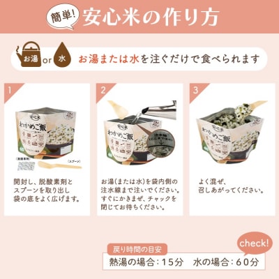 非常食 3日分【安心米9食セット】防災 備蓄 長期保存 アルファ化米/食物アレルギー対応/A4サイズ
