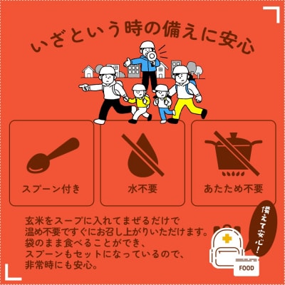 非常食10日分30食【5分でできるアルファ米+野菜スープ 玄米セット】防災 備蓄/食物アレルギー対応