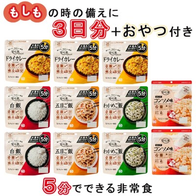 非常食 3日分【安心米クイック9食+菓子付き】防災 備蓄 長期保存 アルファ化米/食物アレルギー対応